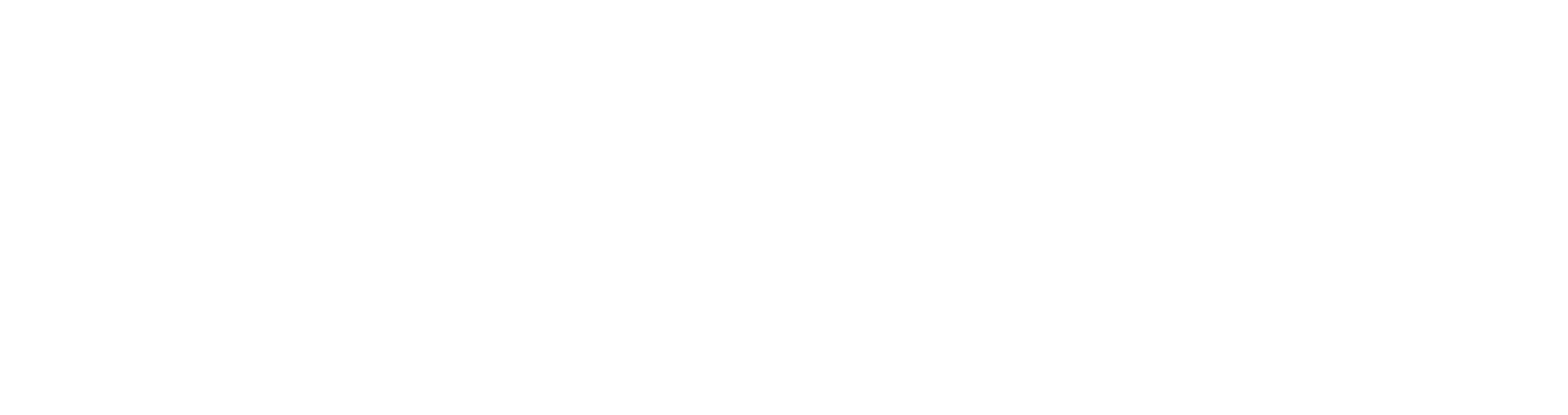 Bajo Zoom
